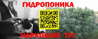 каннабис Берёзовский