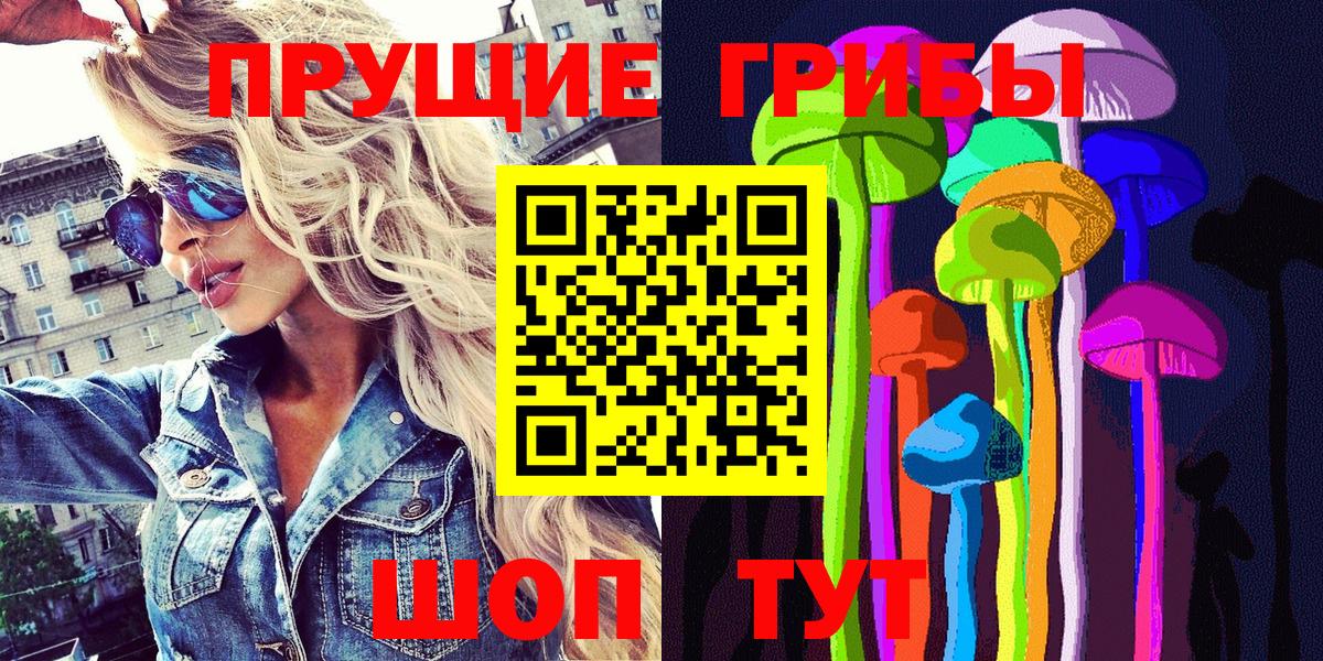 Галлюциногенные грибы GOLDEN TEACHER  где продают наркотики  Знаменск  Вход с VPN 